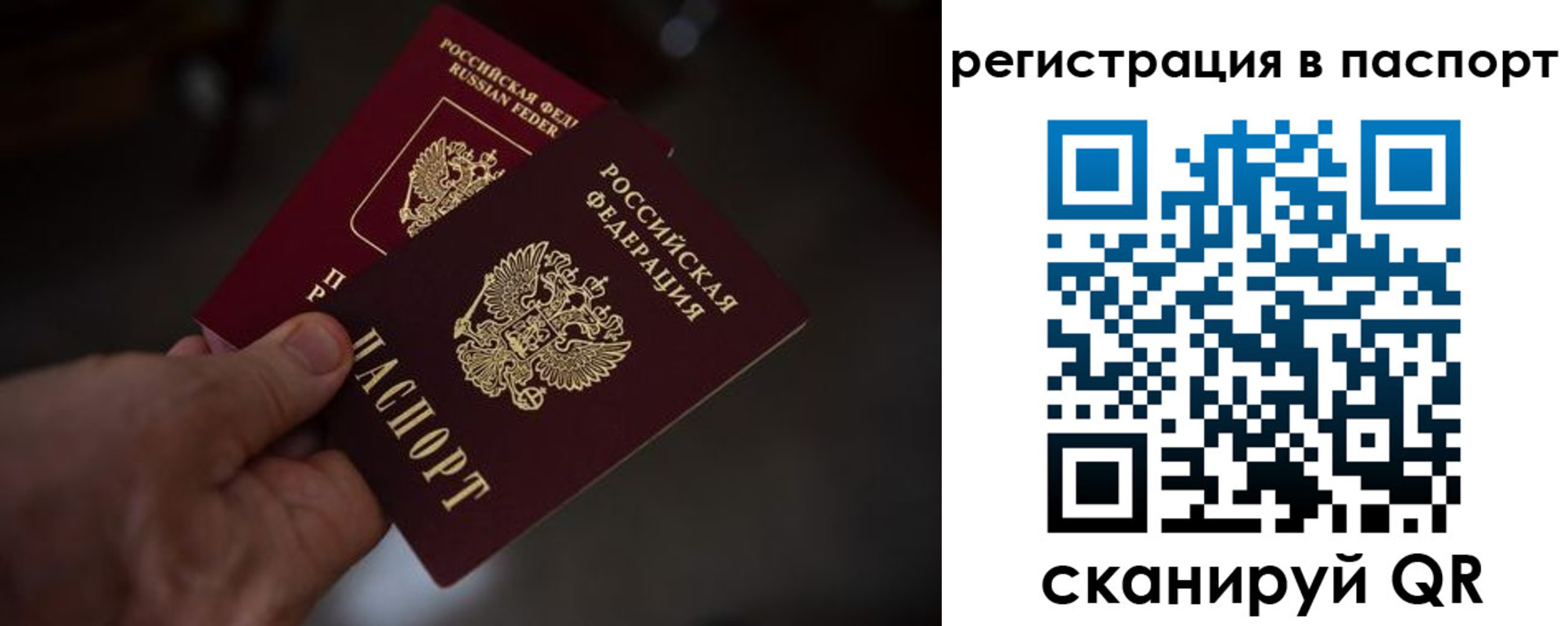 пропишу в квартире в Смоленске